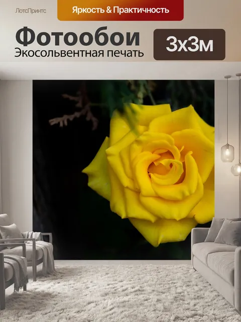 Фотообои Роза