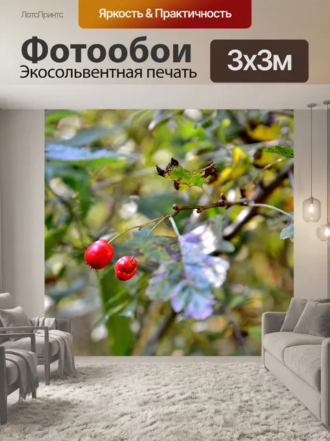Фотообои Ягоды