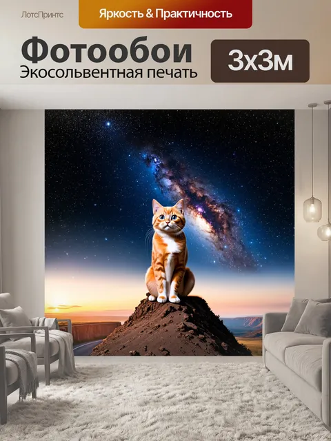Фотообои Кот на вершине горы, смотрящий на звездное небо с тысячами звезд и яркой галактикой