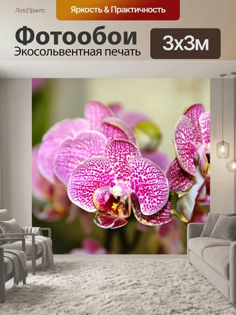 Фотообои Орхидеи