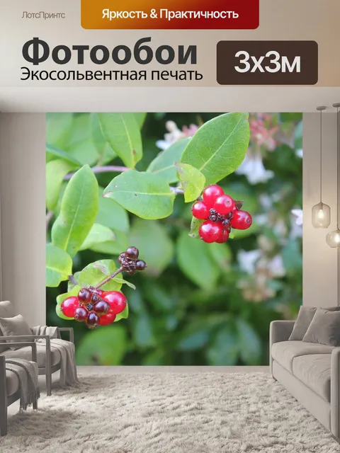 Фотообои Природа