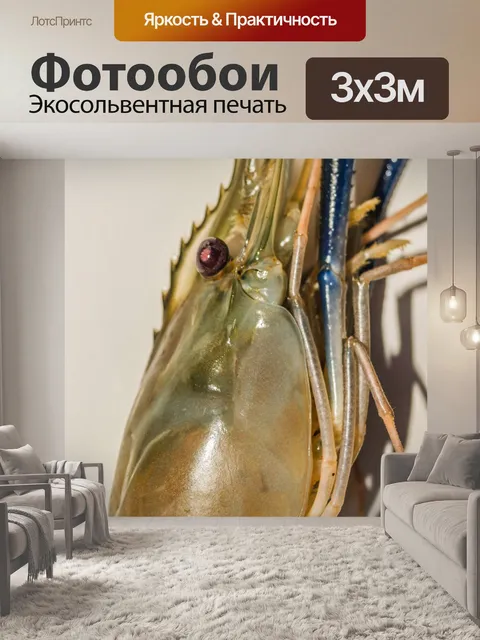 Фотообои Свежие приготовленные креветки фон мореп