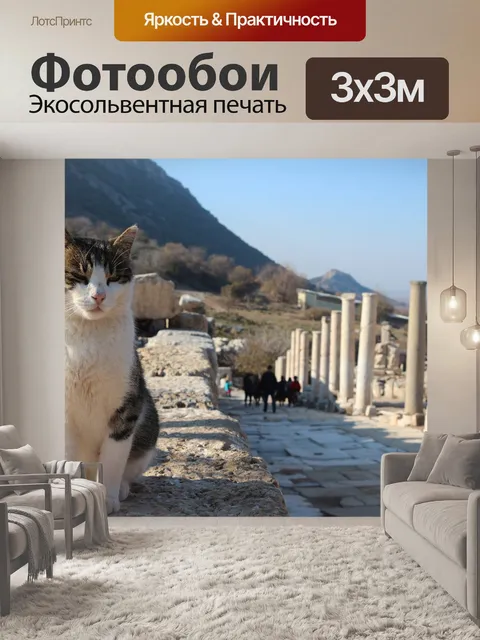 Фотообои Кошка