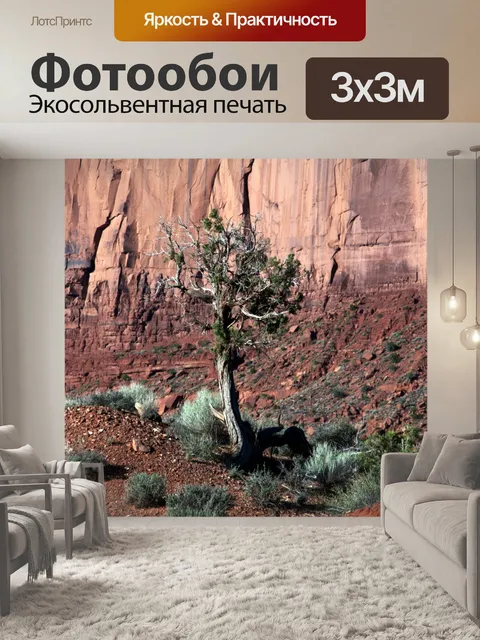 Фотообои Дерево пустыни