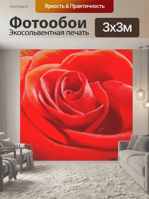 Фотообои Окрашенная роза
