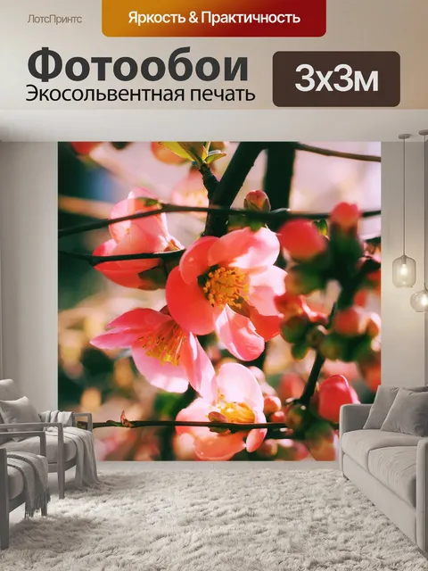 Фотообои Розовый