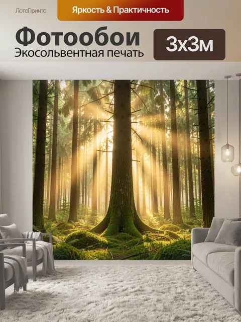 Фотообои Солнечный лес с высокими елями