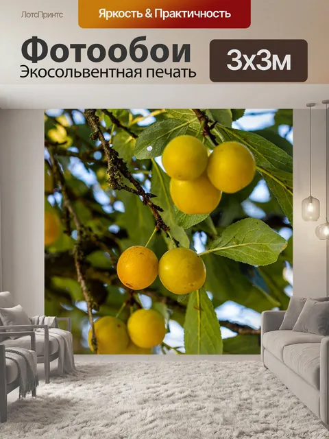 Фотообои Дерево