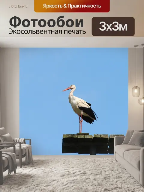 Фотообои Аист