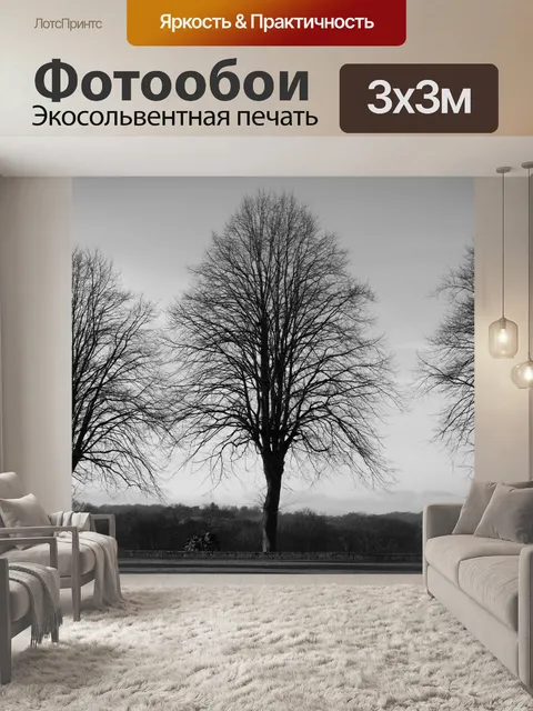 Фотообои Деревья без листьев