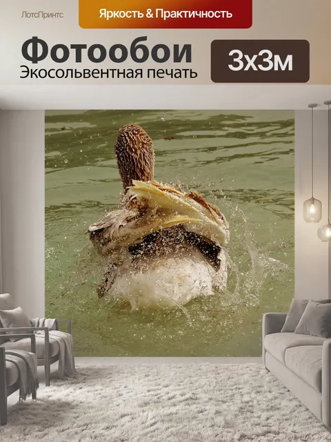 Фотообои Гусь