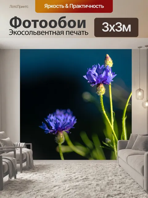 Фотообои Цветок