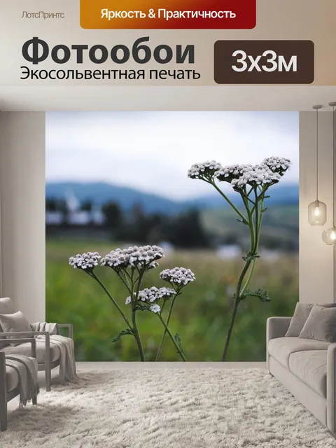 Фотообои Цветы