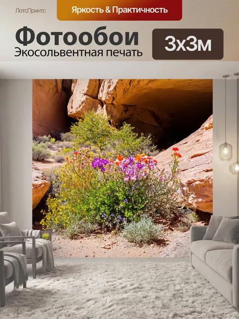 Фотообои природа в стиле графити, пустынные цветы, растущие между камнями с граффити