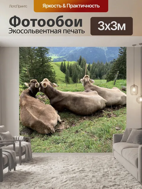 Фотообои Горы