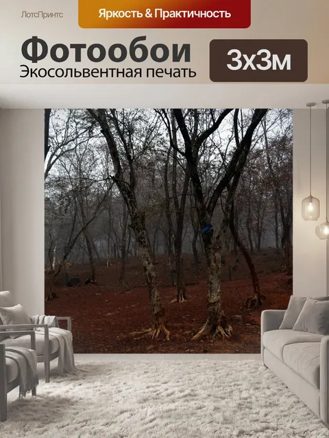 Фотообои Туманный лес 1