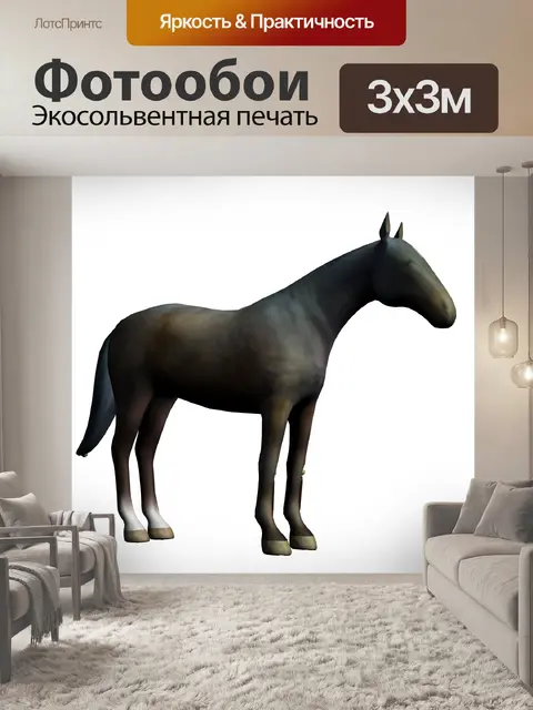 Фотообои лошадь