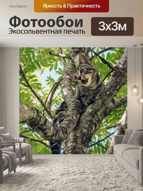 Фотообои Кошка