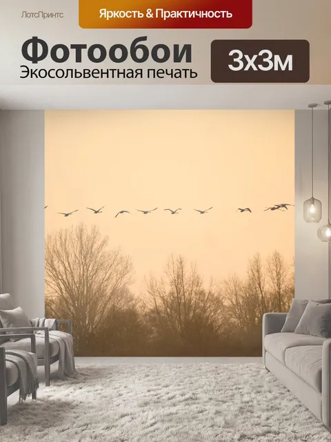 Фотообои Птицы