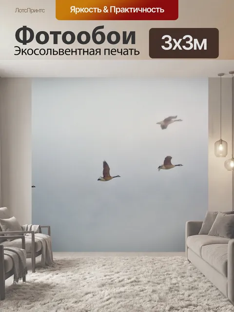 Фотообои Гуси Миграция