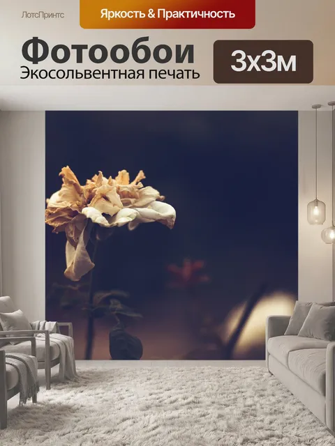 Фотообои Розы