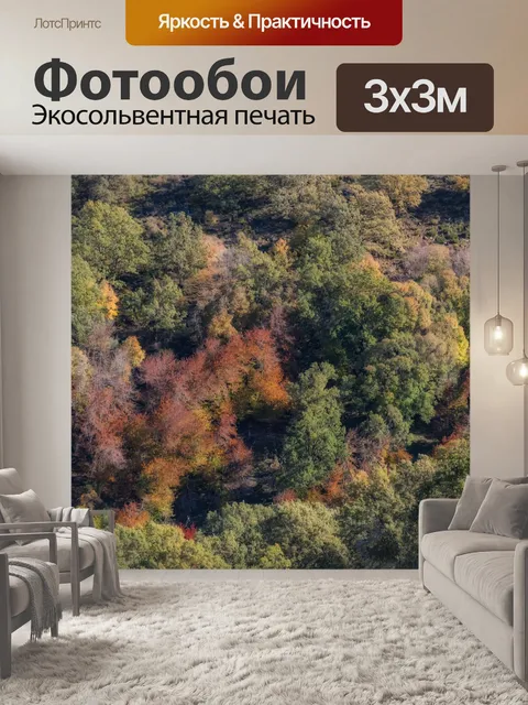 Фотообои Осень