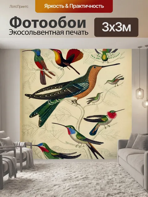 Фотообои Колибри птицы старинное искусство