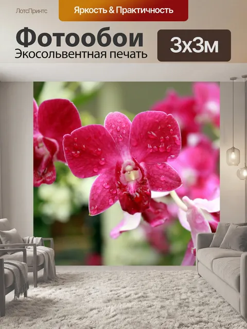 Фотообои Цветок орхидеи цветы