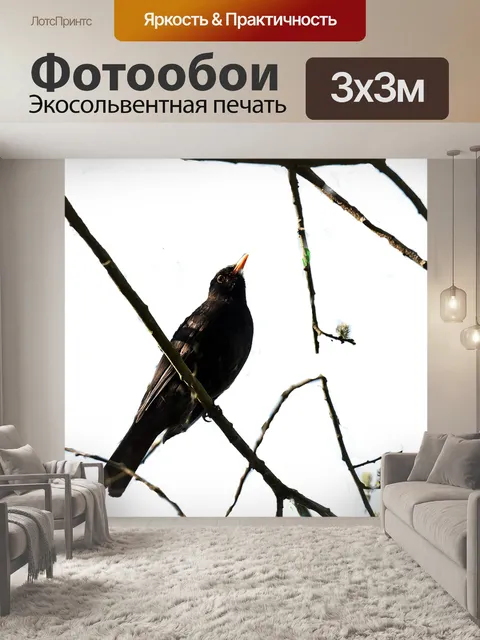Фотообои Птица
