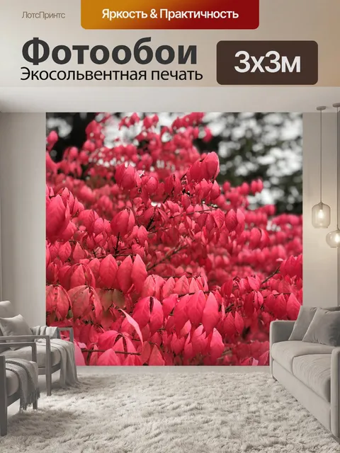 Фотообои Канада