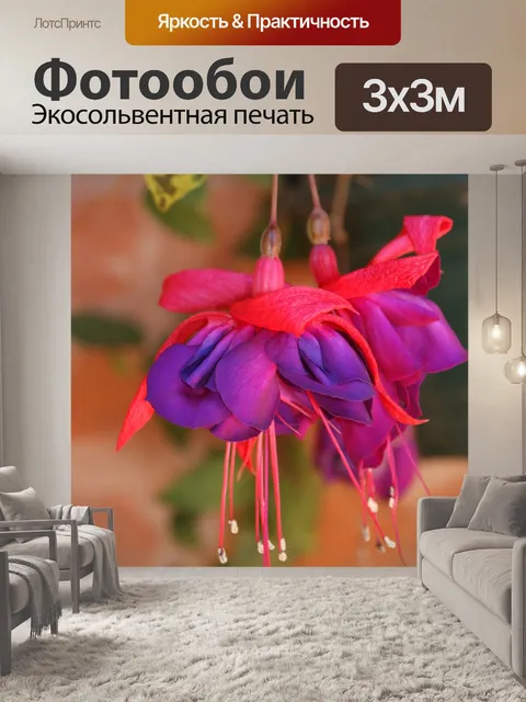 Фотообои Фуксия