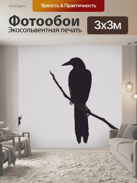 Фотообои Птицы