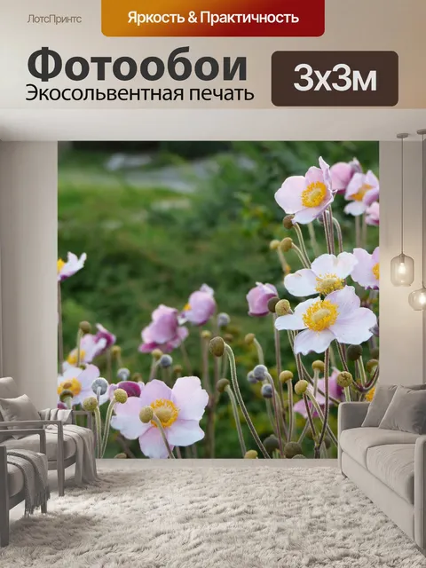Фотообои Анемон