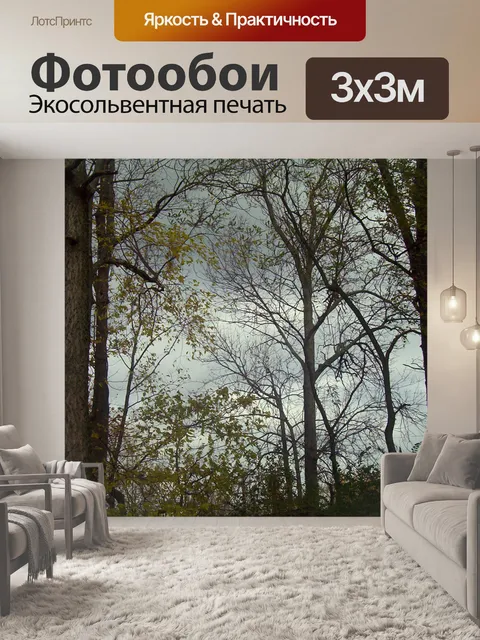Фотообои Осенние деревья