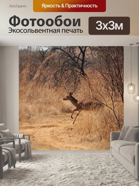 Фотообои Куду корова собирается перейти дорогу