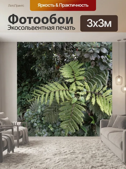 Фотообои Тропический лес