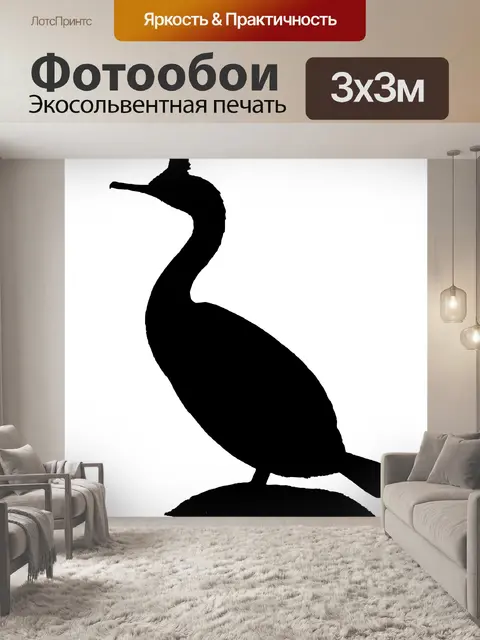 Фотообои Птица силуэт, баклан