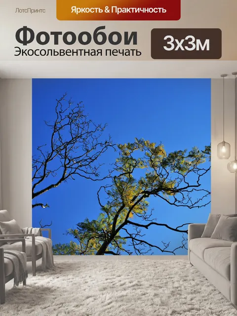Фотообои стильные веточки и листья