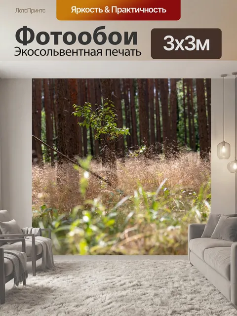 Фотообои лес