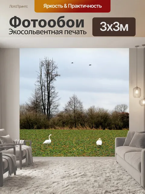 Фотообои Пейзаж