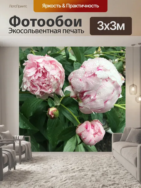 Фотообои Розовый