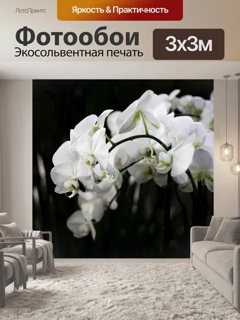 Фотообои Орхидеи