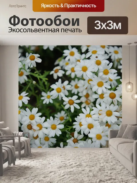 Фотообои Цветок