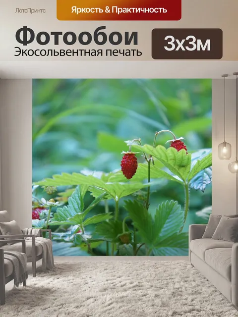 Фотообои Лист
