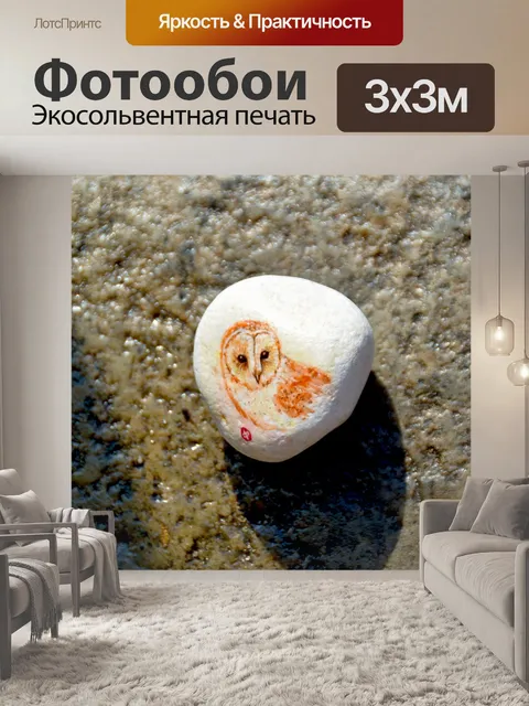 Фотообои Сова