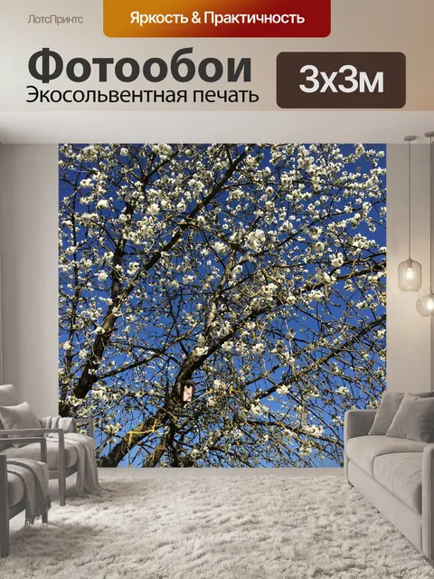 Фотообои Вишня в цвету
