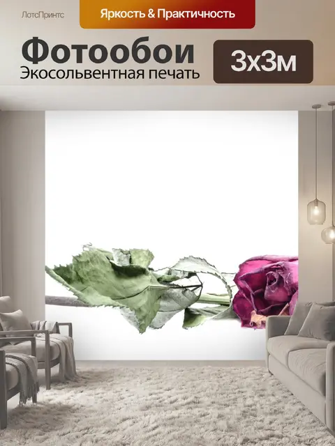 Фотообои Сушеные Красная роза