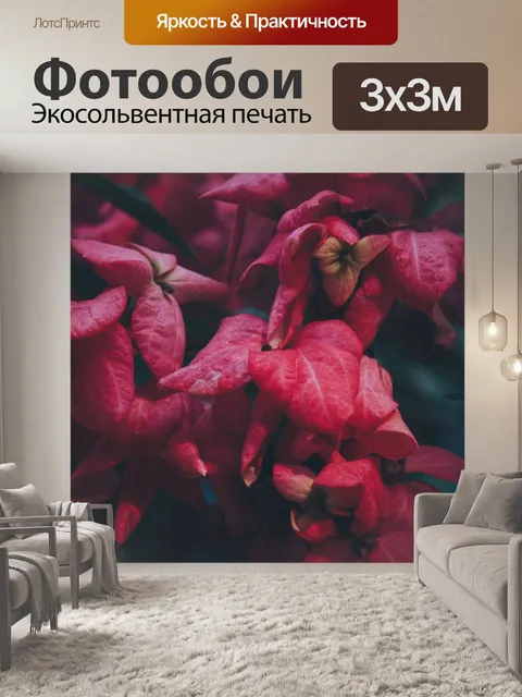 Фотообои Розовый