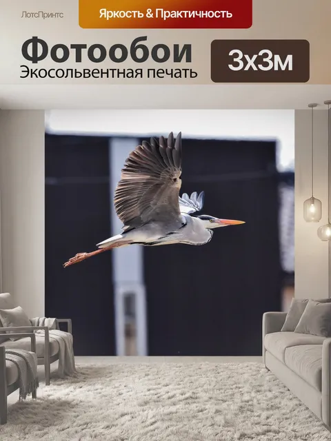 Фотообои Животное