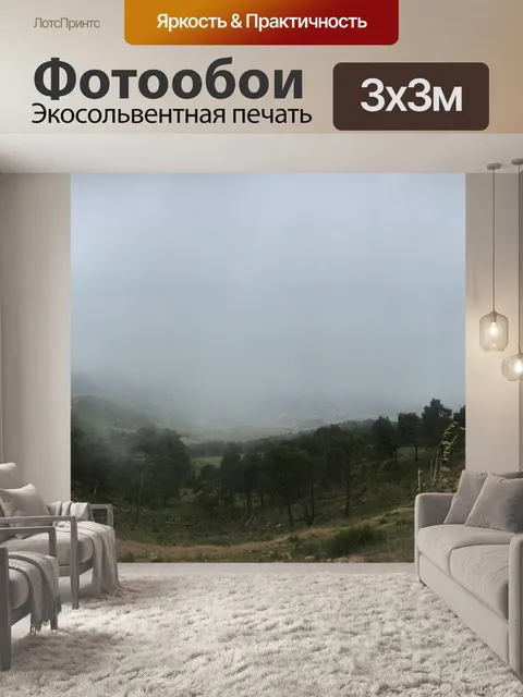 Фотообои Погода
